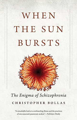 When the Sun Bursts: The Enigma of Schizophrenia von Yale University Press